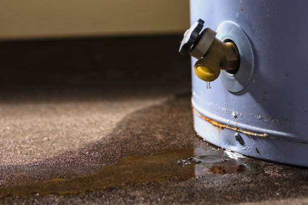 Best Commercial water damage restoration  in Bristol, WI