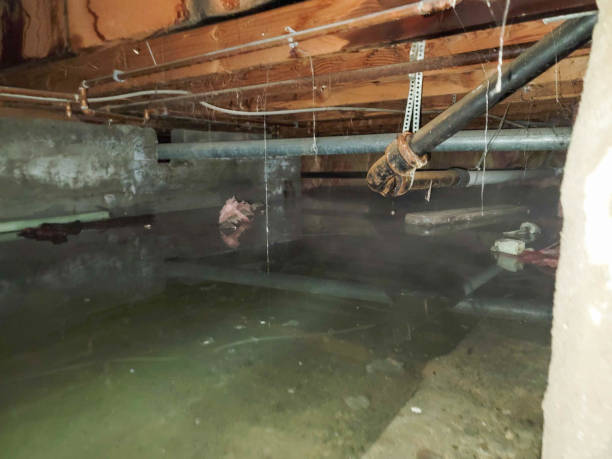 Best Fire Damage Restoration  in Bristol, WI