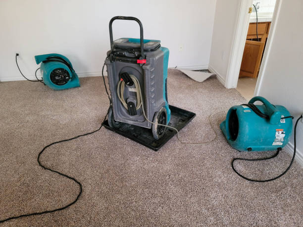 Best Flood restoration services  in Bristol, WI