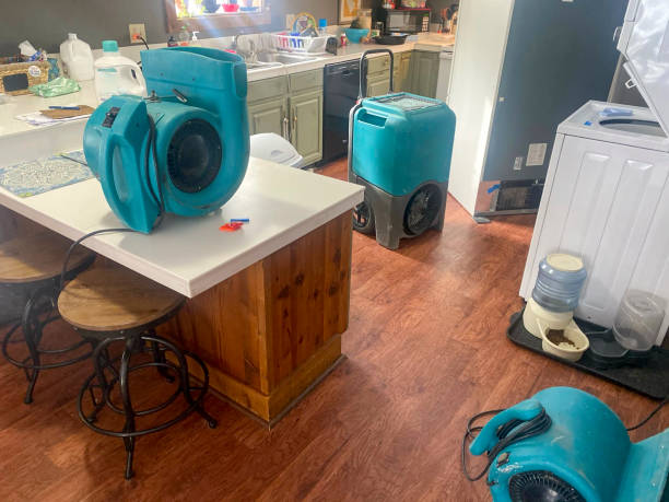 Best Water damage cleanup near me  in Bristol, WI