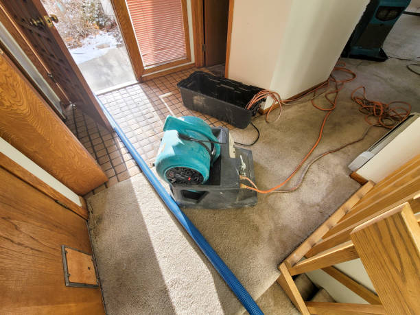 Best Sewage cleanup and water damage restoration  in Bristol, WI