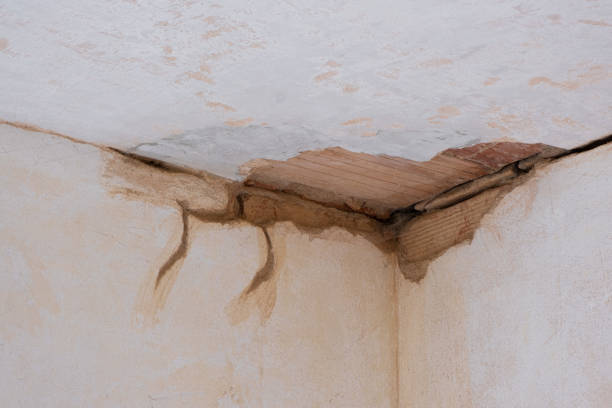 Best Professional water damage repair  in Bristol, WI