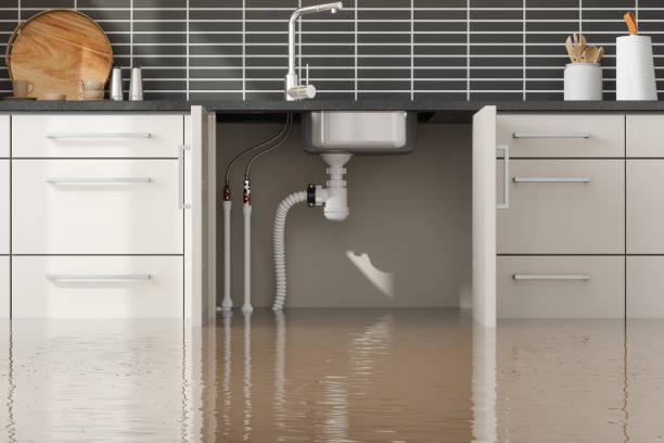 Best Flood restoration services  in Bristol, WI